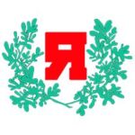 Periodismo y cultura popular 🌿