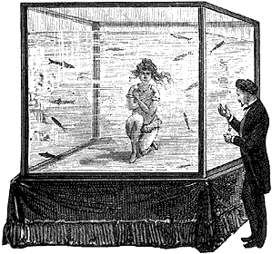 Un inventor israel&iacute; crea un sistema de branquias artificiales