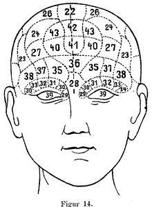 Nanotecnolog&iacute;a para elaborar unos "puentes"  que ayudan a que las c&eacute;lulas cerebrales a regenerarse